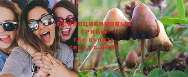 spice Балабаново