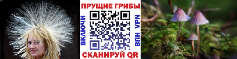KRAKEN зеркало  Зима  Псилоцибиновые грибы ЛСД 